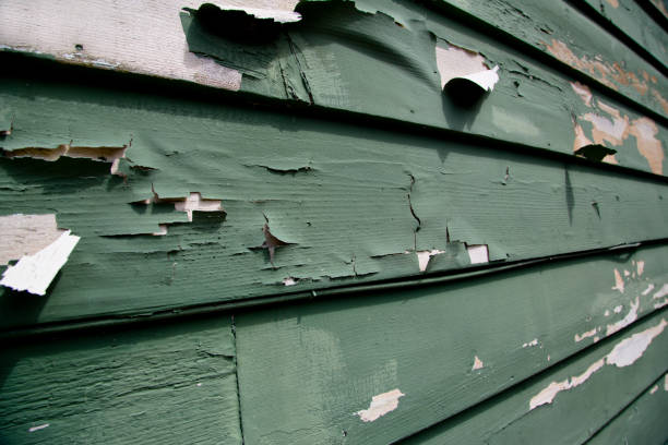 Best Residential Vinyl Siding Installation  in Orland, CA