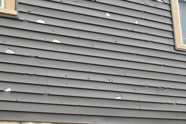 Best Custom Trim and Detailing for Siding  in Orland, CA